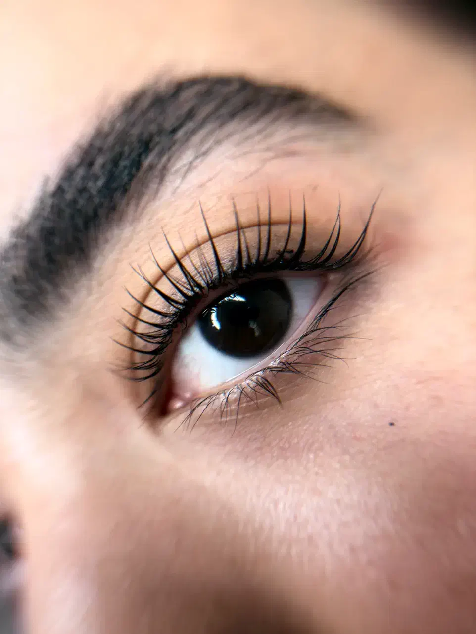 تخفیف ویژه اکستنشن مژه و لیفت|خدمات آرایشگری و زیبایی|رامسر, |دیوار