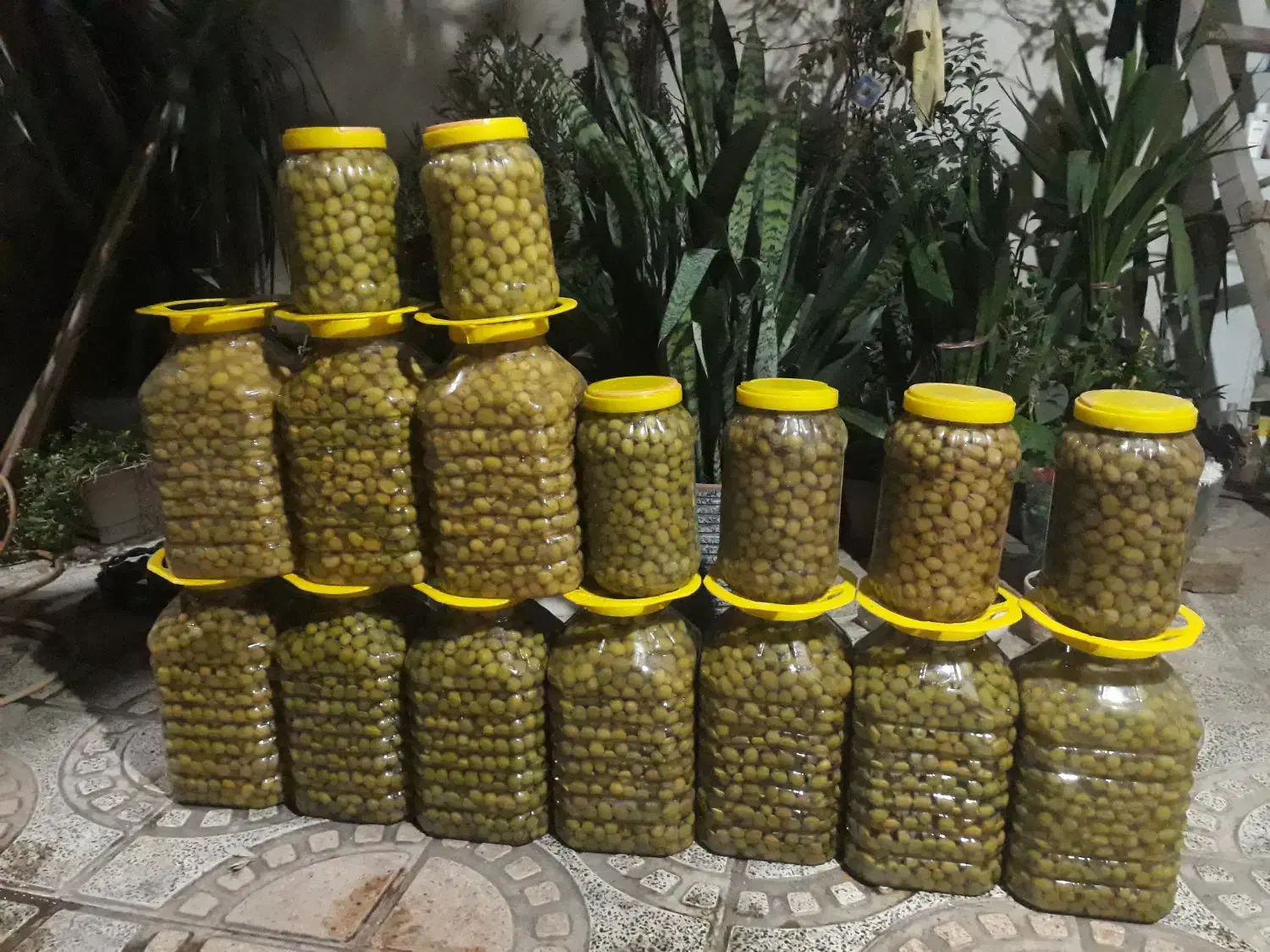 زیتون کنسروی|خوردنی و آشامیدنی|اسلام‌شهر, شهرک مهدیه|دیوار