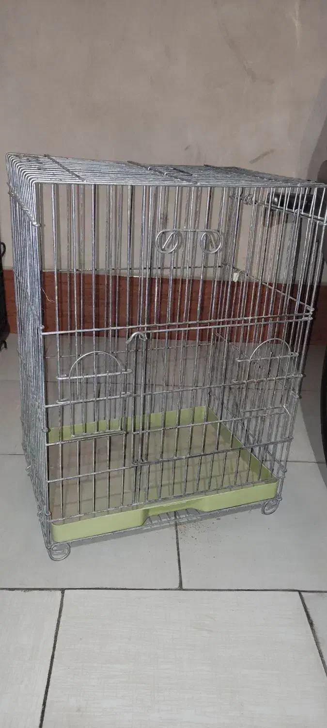 قفس طوطی بزرگ و محکم|لوازم جانبی حیوانات|بیرجند, |دیوار