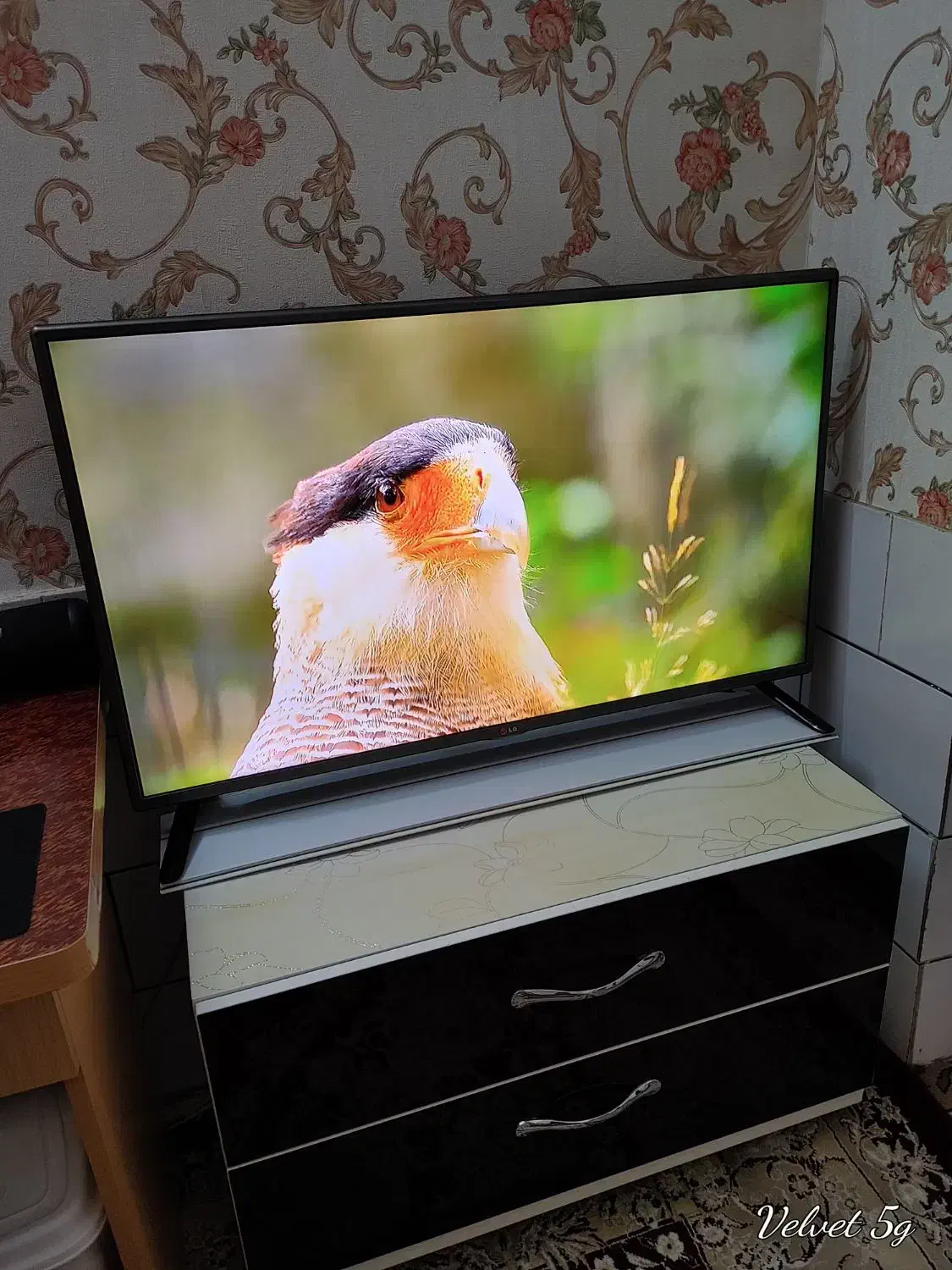 LED LG تلویزیون الجی 42 کنترل دیجیتال کاشمر|تلویزیون و پروژکتور|کاشمر, |دیوار