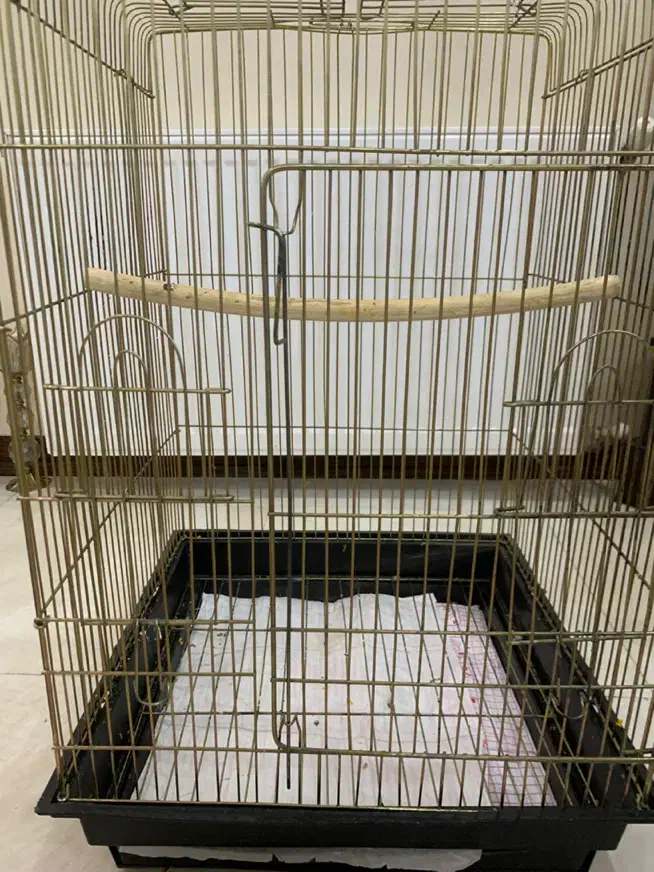 قفس|لوازم جانبی حیوانات|تهران, زاهد گیلانی|دیوار