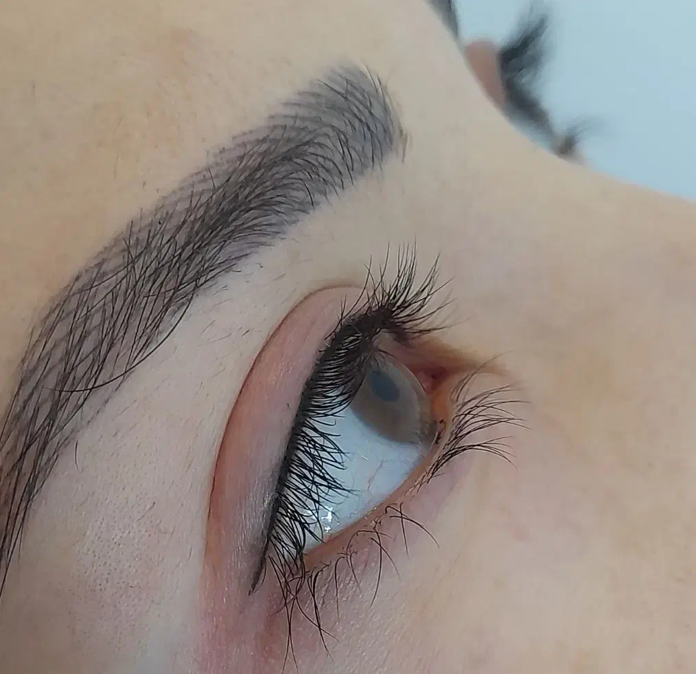 شیدینگ ،میکرو،بن مژه وخط چشم|خدمات آرایشگری و زیبایی|کاشان, میدان کهنه|دیوار