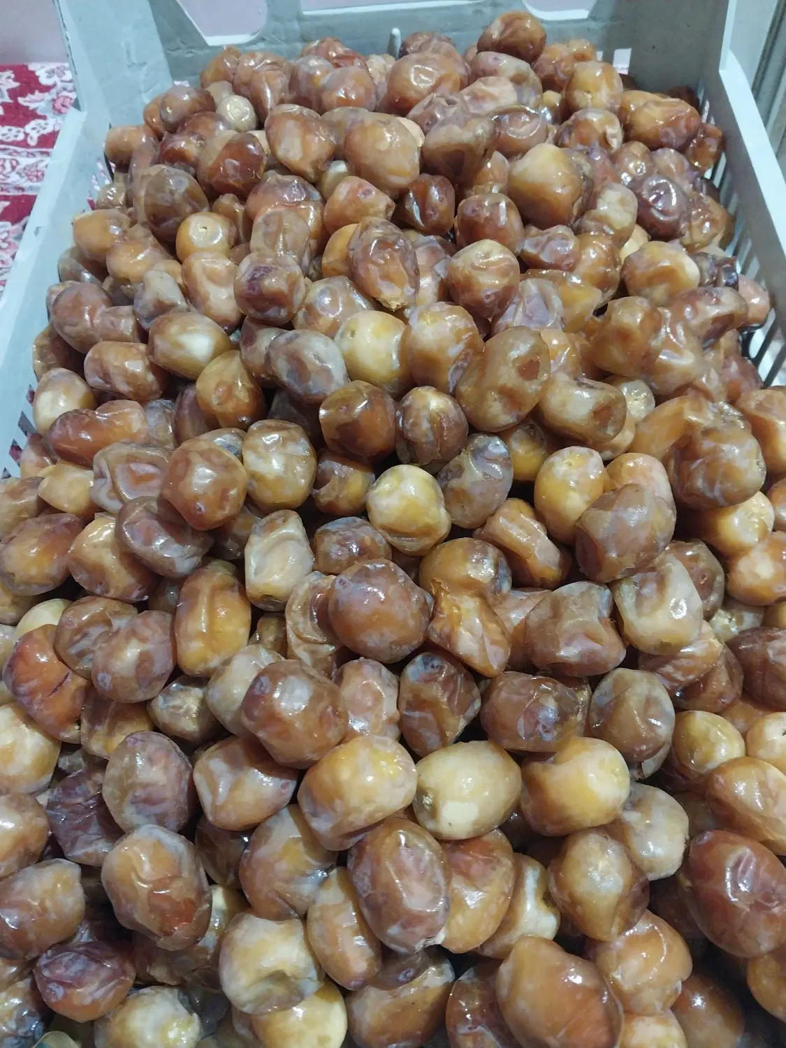 رطب|خوردنی و آشامیدنی|بوشهر, |دیوار