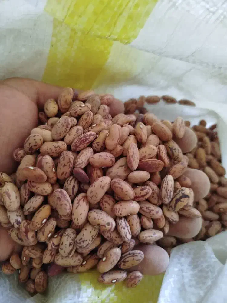 لوبیا چیتی درجه یک خارجی|خوردنی و آشامیدنی|تهران, راه آهن|دیوار