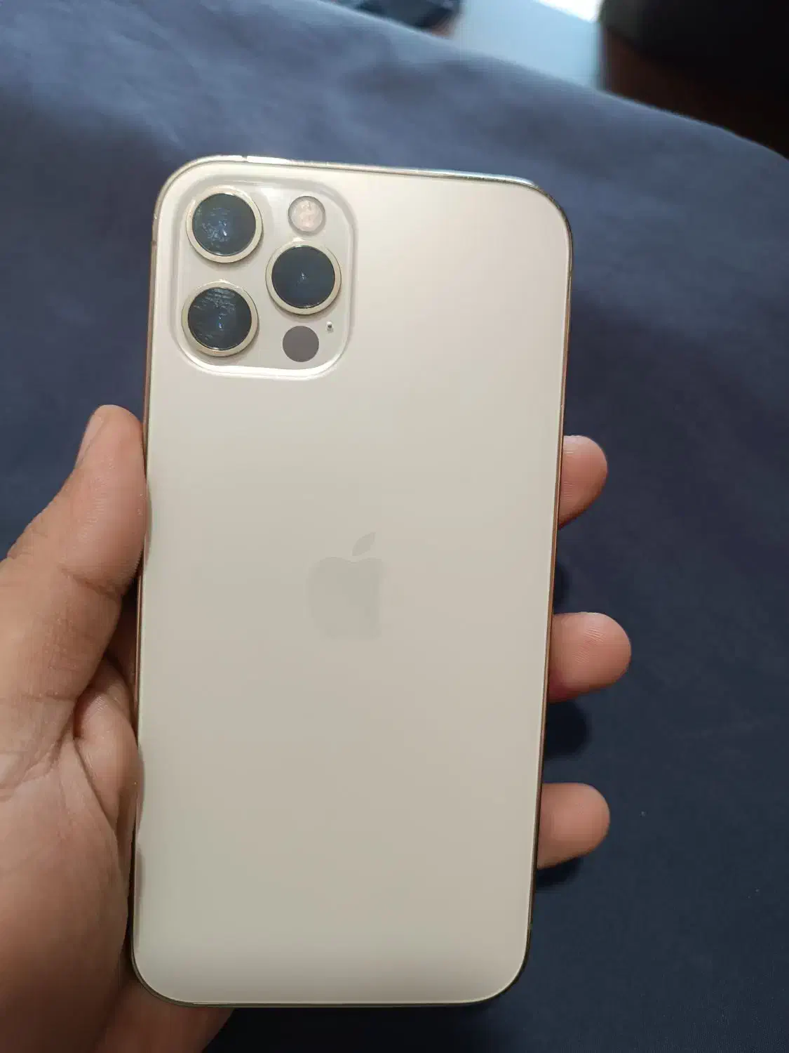 آیفون ۱۲ پرو|موبایل|هیرمند, |دیوار