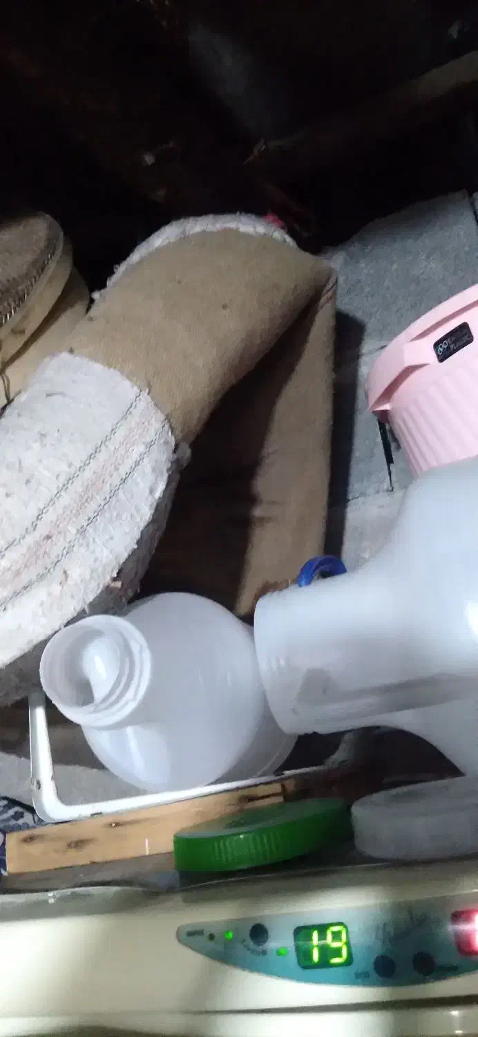 پالان اسب|اسب و تجهیزات اسب‌سواری|کجور, |دیوار