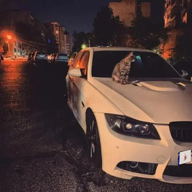 Bmw 325|خودرو سواری و وانت|تهران, دزاشیب|دیوار