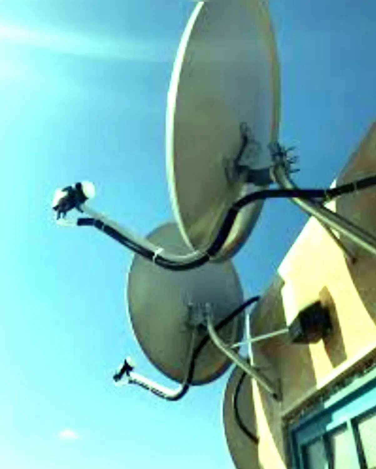 نصاب آنتن گیرنده دیجیتال، هشتگرد تهراندشت سهیلیه|خدمات پیشه و مهارت|هشتگرد, هشتگرد قدیم|دیوار