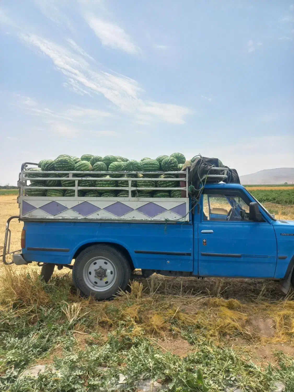 وانت نیسان بار|خدمات حمل و نقل|دهدشت, |دیوار