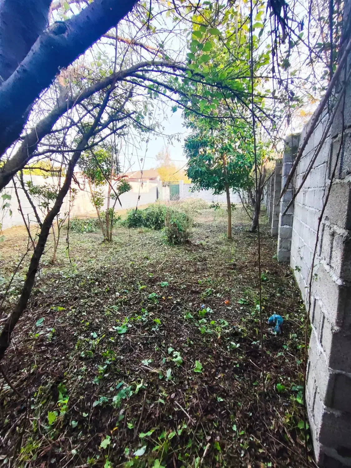 زمین فروشی یا معاوضه باخودروهم قیمت یاپایینترمیکنم|فروش زمین و ملک کلنگی|رشت, استادسرا|دیوار