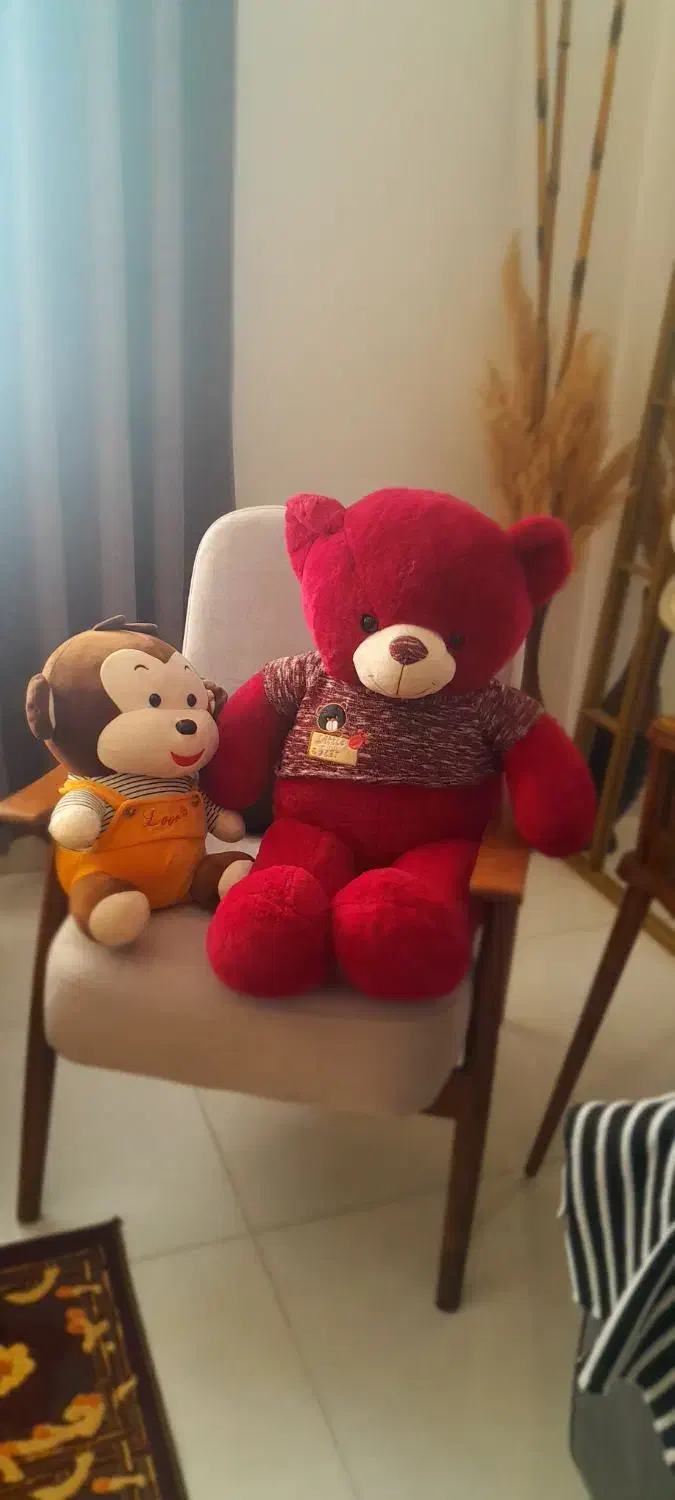 دوعدد عروسک سالم|اسباب‌‌بازی|بوئین زهرا, |دیوار