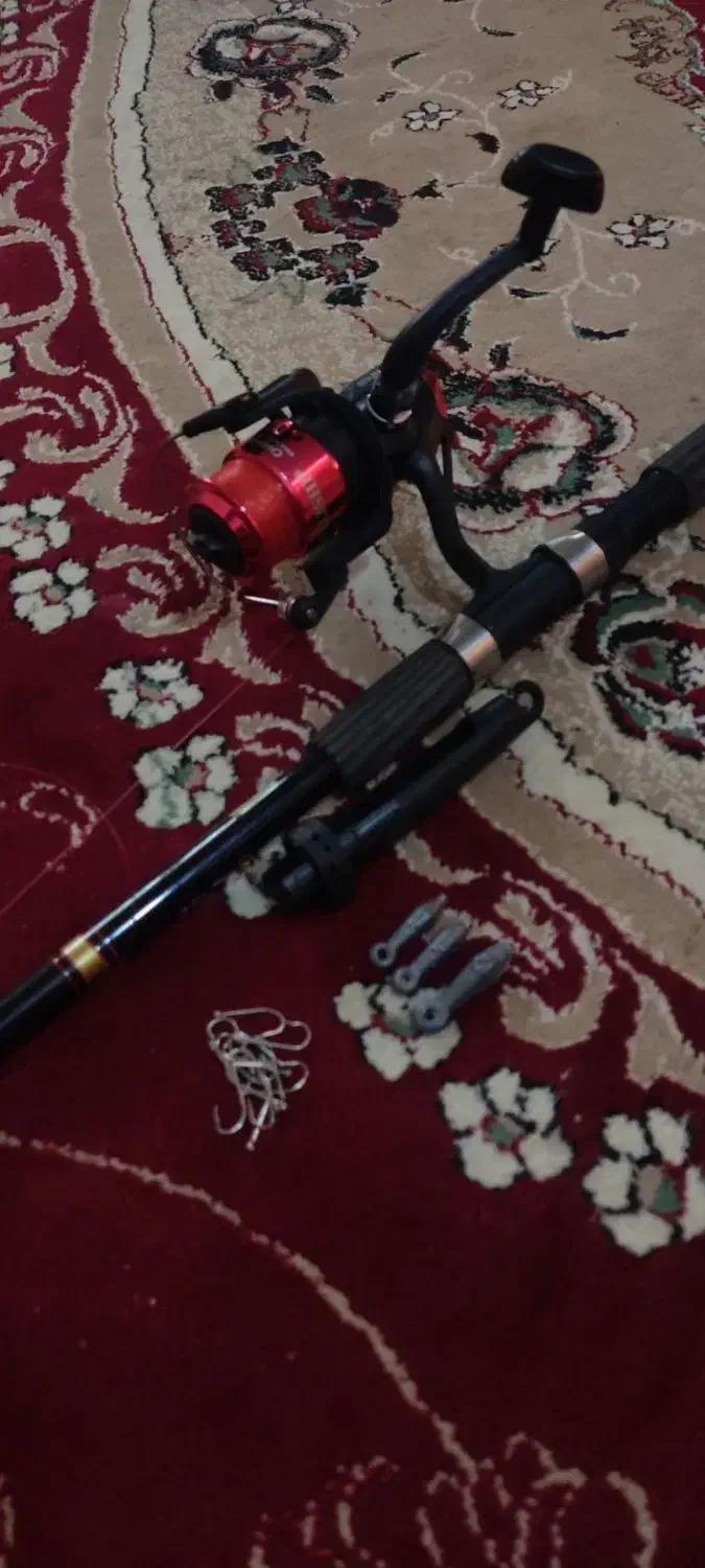 لنسر ماهیگیری|ماهیگیری|دوگنبدان, |دیوار