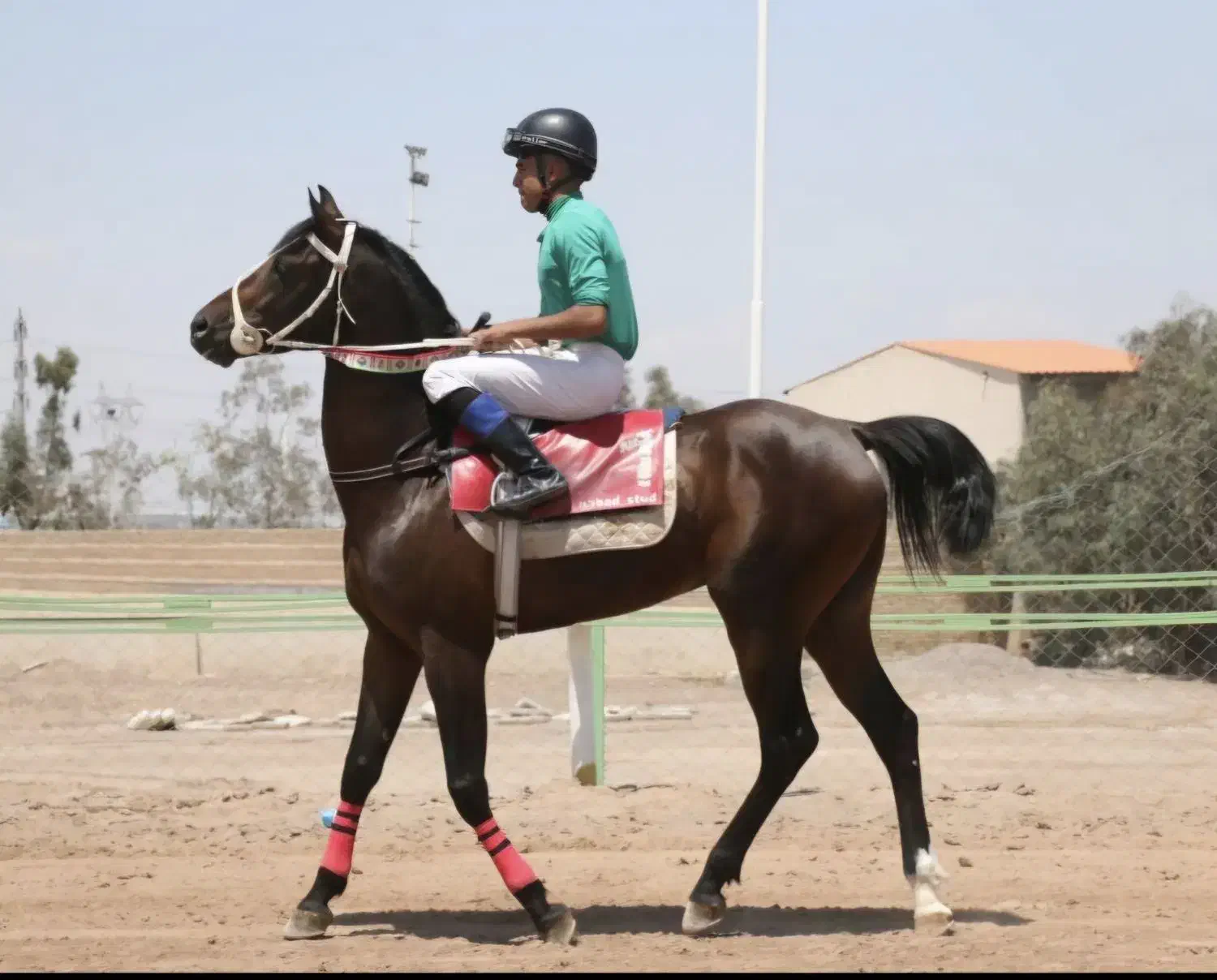 کارگر اصطبل اسب|استخدام سرایداری و نظافت|فهرج, |دیوار