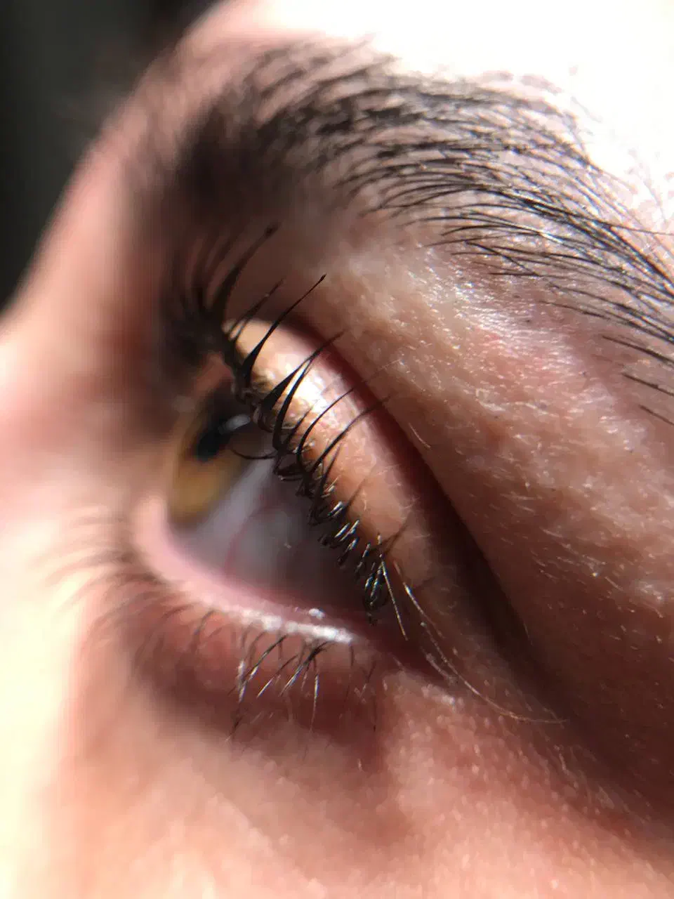 لیفت مژه و ابرو ۱۵ درصد تخفیف|خدمات آرایشگری و زیبایی|پردیس, فاز ۴|دیوار