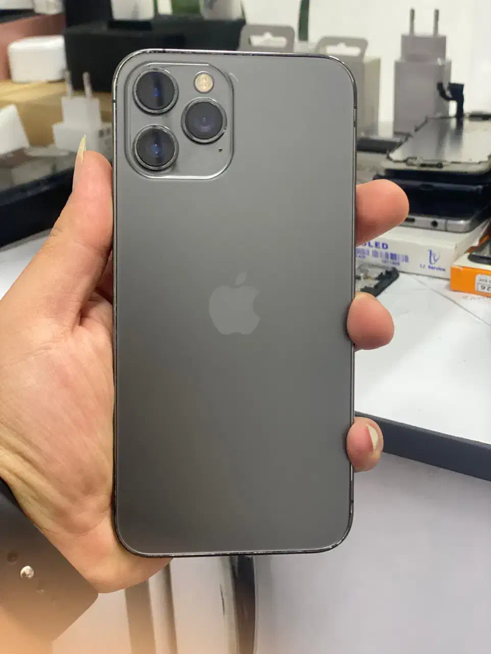 iPhone 12promax|موبایل|شیراز, زند|دیوار