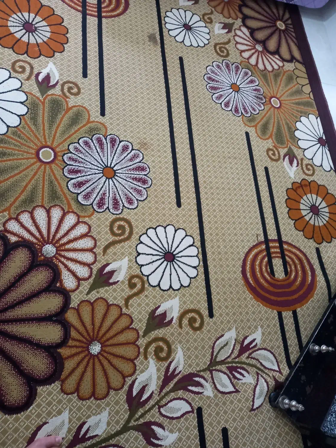 گلیم ۲در۳|گلیم، جاجیم، گبه|نیشابور, مازول|دیوار