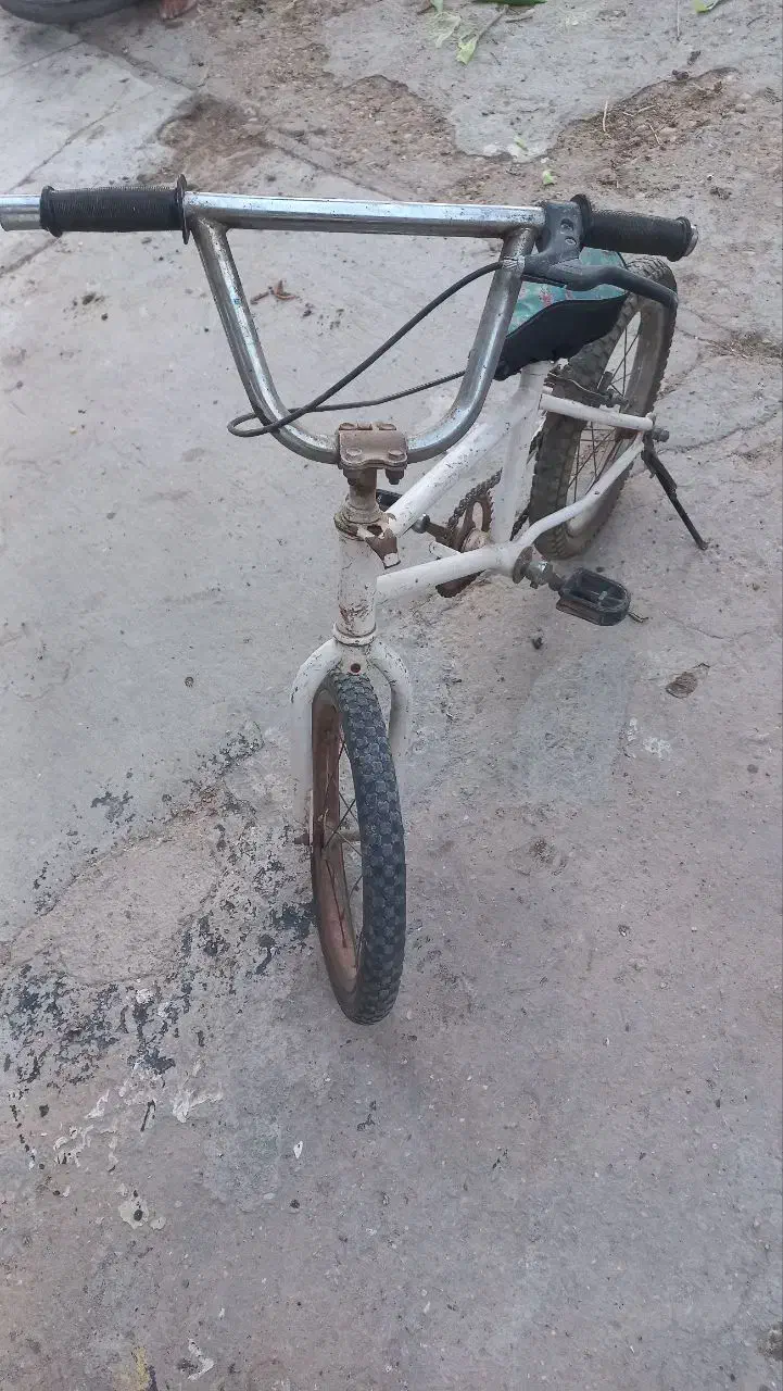 دوچرخه ۱۶|دوچرخه، اسکیت، اسکوتر|بوشهر, |دیوار