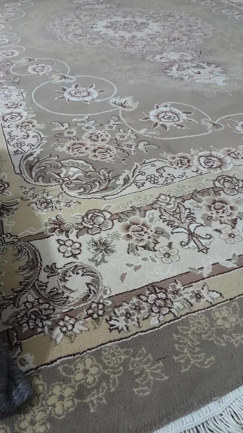 ۵۸۰۰|فرش|سبزوار, قصبه غربی|دیوار