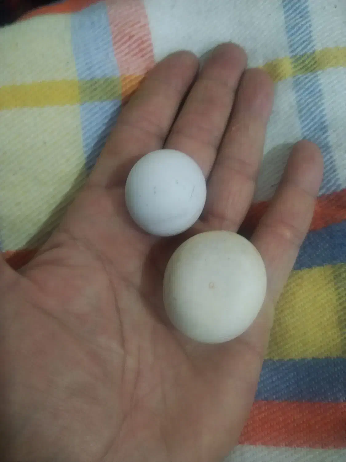 سنگ الماس آسیاب|جواهرات|آذرشهر, |دیوار