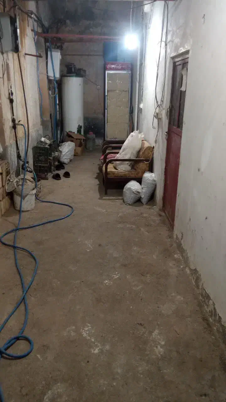 قارچ|فروشگاه و مغازه|آران و بیدگل, |دیوار