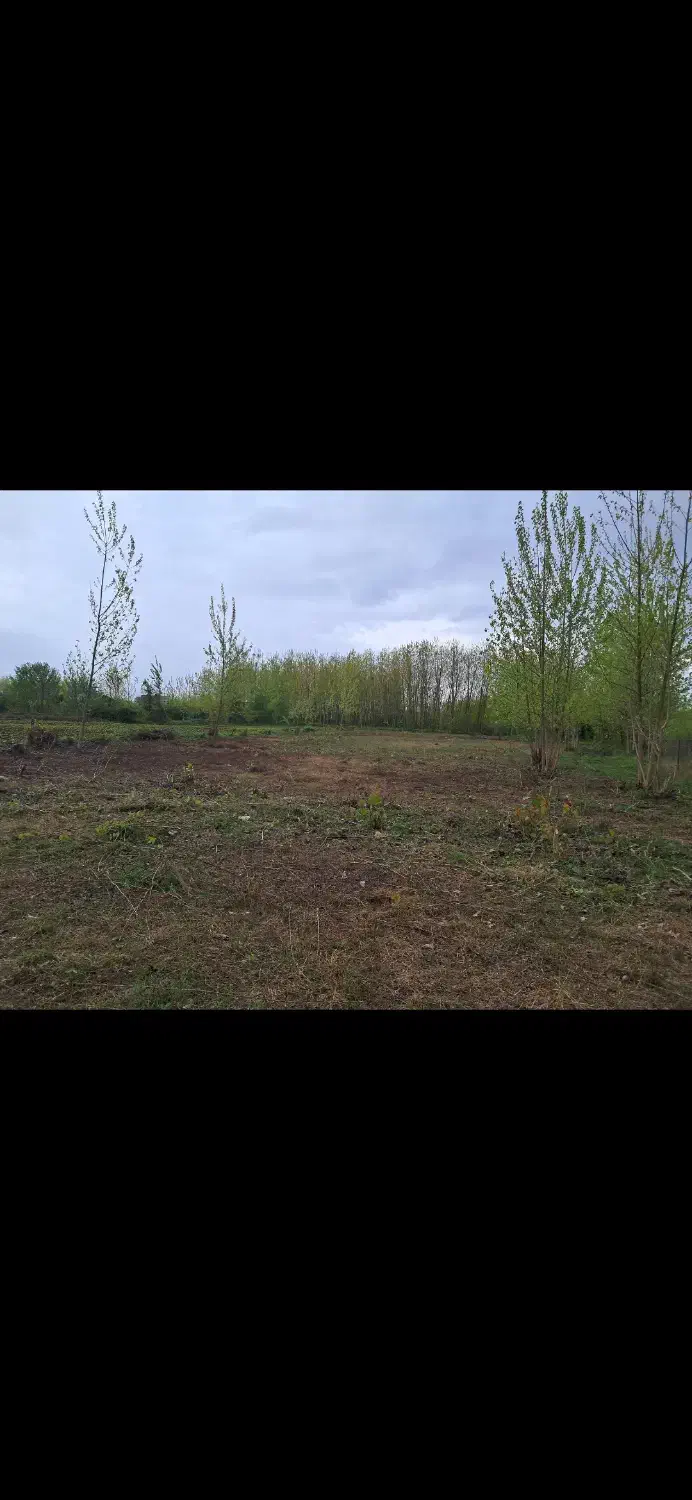 زمین باغی مسکونی درمحیط آرام سرسبز روستای امامده|فروش زمین و ملک کلنگی|رودبنه, |دیوار