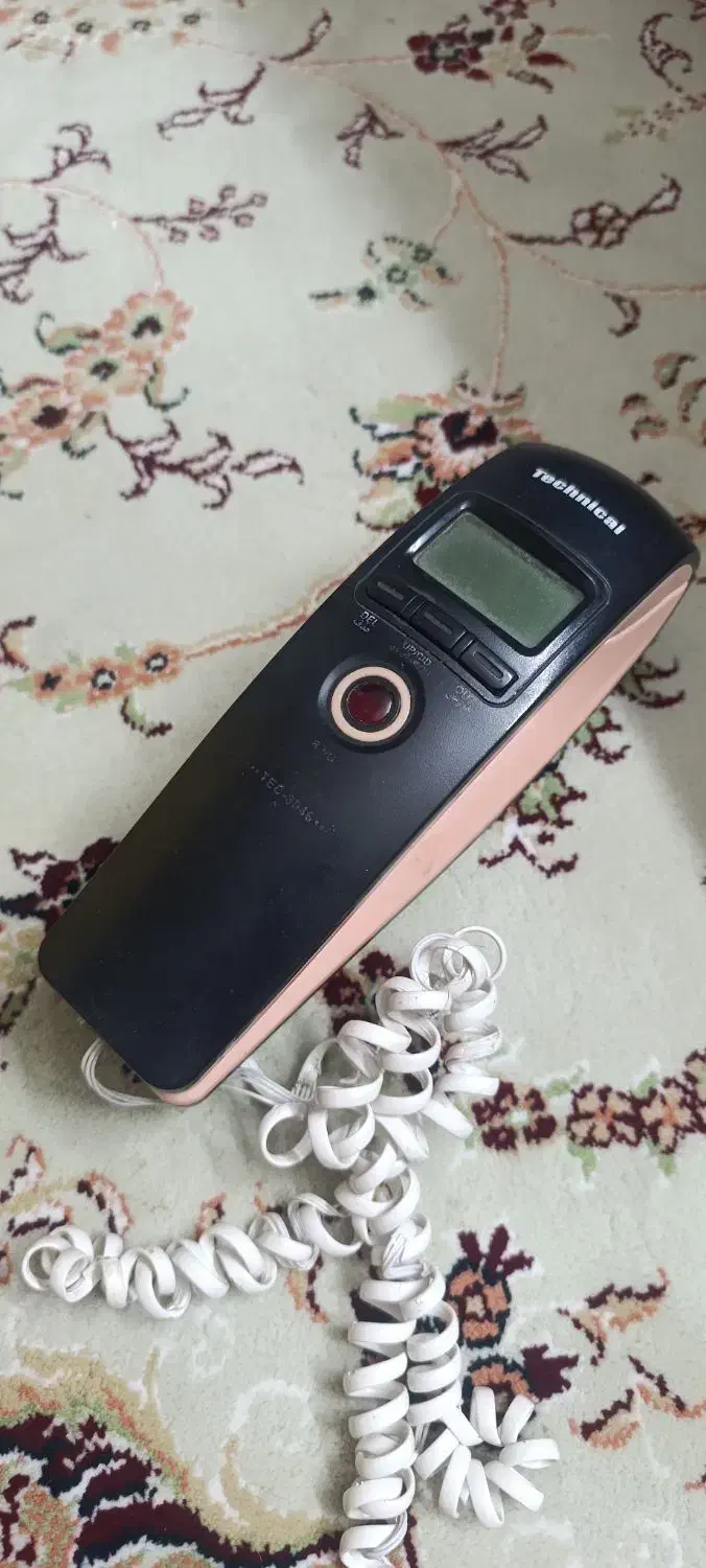 کیف و کفش|کیف، کفش، کمربند|گلبهار, شهر جدید گلبهار|دیوار