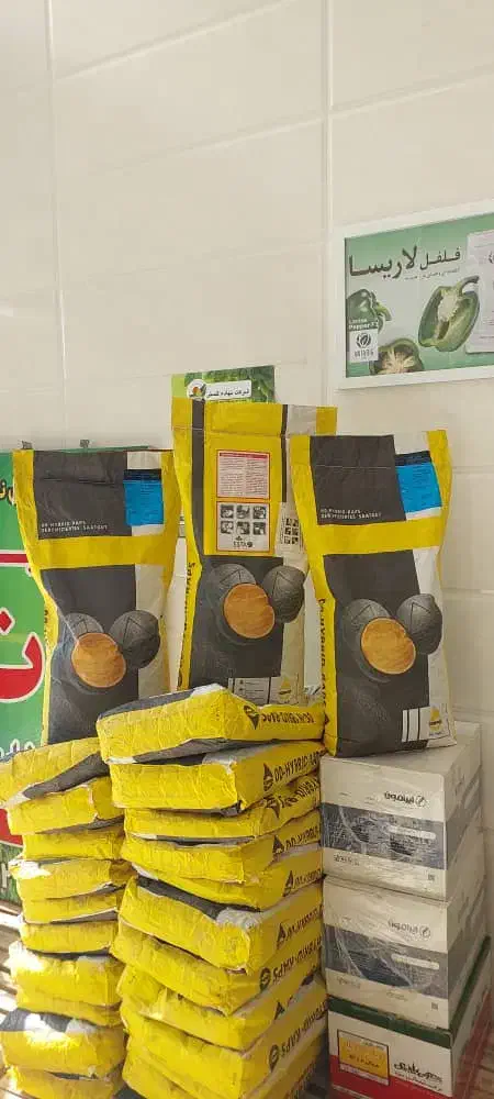 بذر کلزا رقم تراپر|لوازم جانبی حیوانات|کرمانشاه, |دیوار