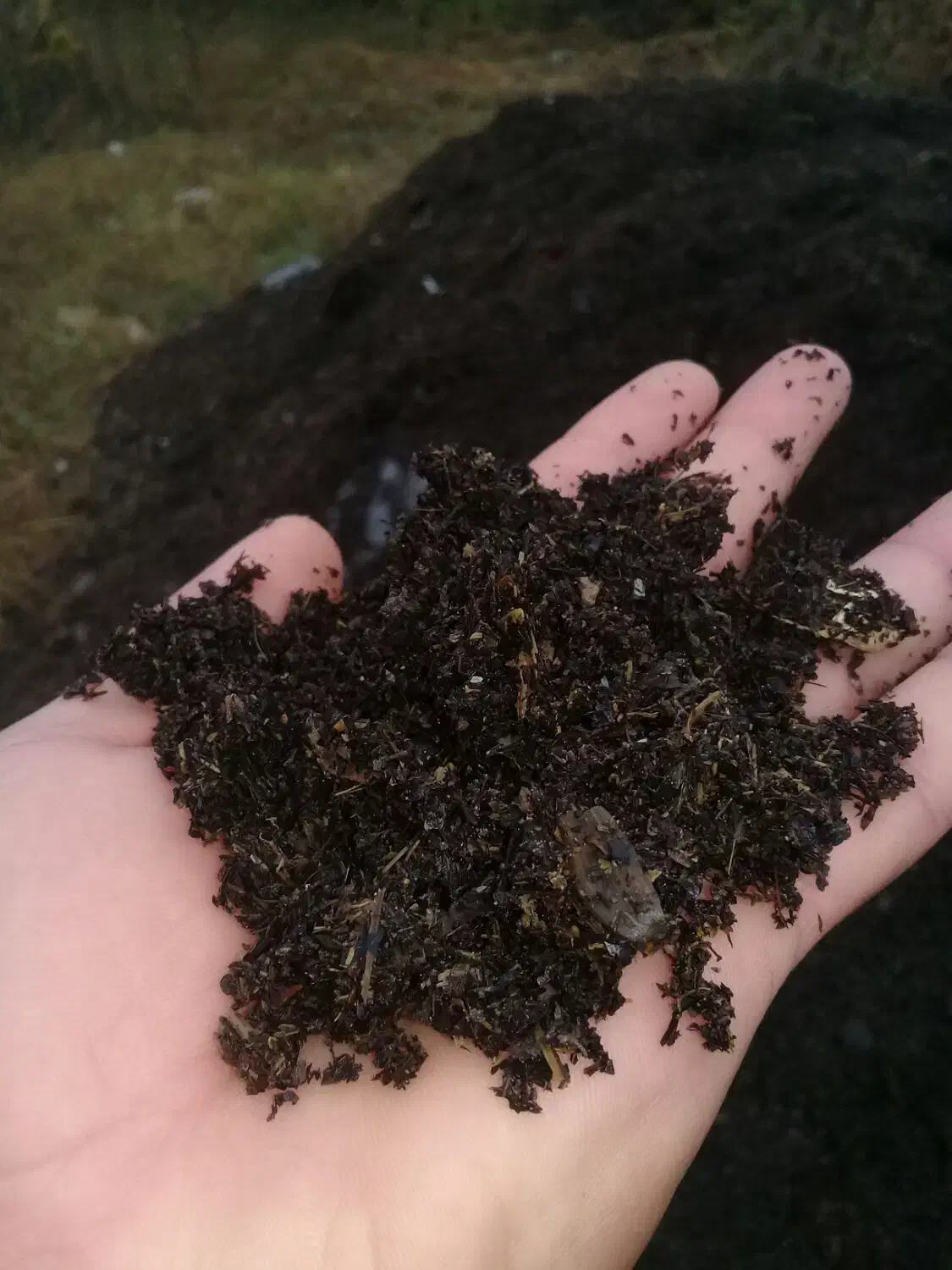 فروش کود حیوانی خاک برگ خاک باغچه و...|خدمات باغبانی و درختکاری|لنگرود, |دیوار