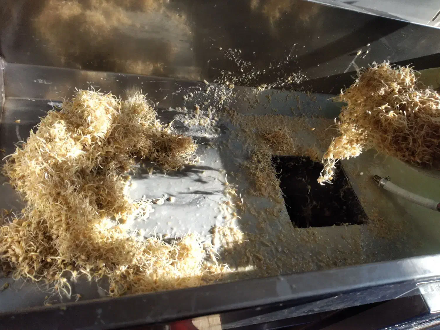 خدمات سمنو|خدمات پذیرایی، مراسم|اصفهان, ارداجی|دیوار