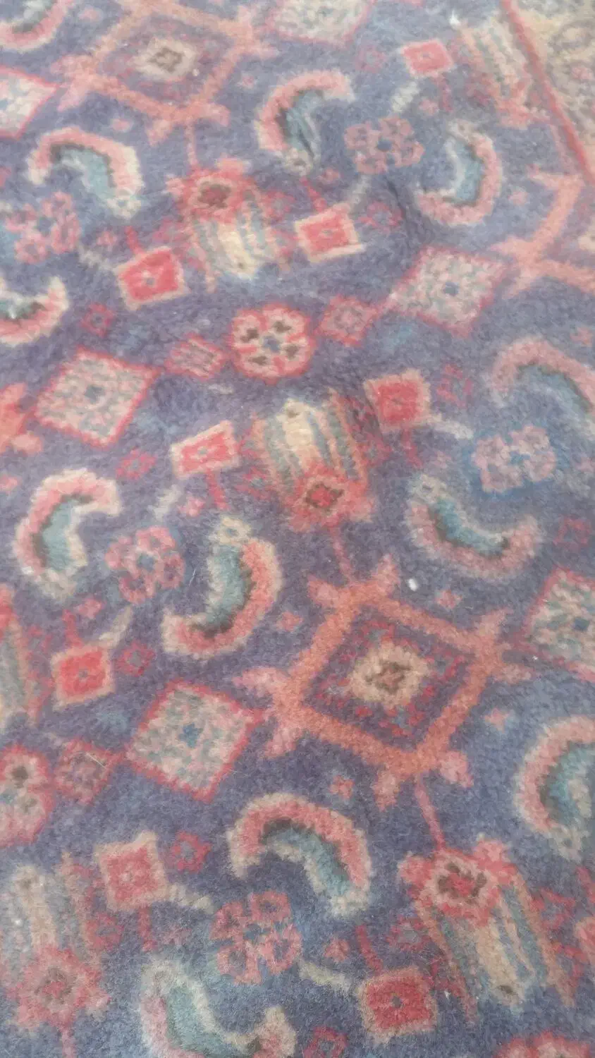 قالیچه دستباف ساروق اراک نقش ماهی با قدمت ۷۰ سال|فرش|شهریار, شهریار|دیوار