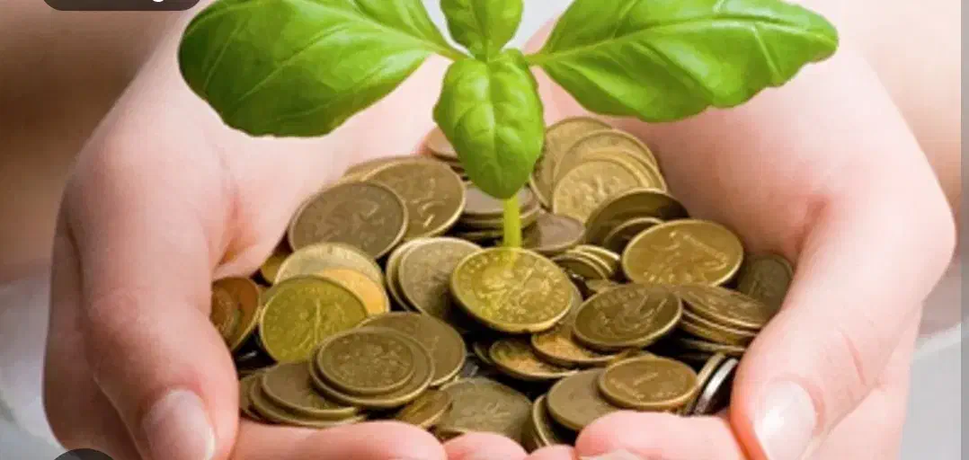 نیازمند ضامن درجه A و B|خدمات مالی، حسابداری، بیمه|سبزوار, قاضی زاد|دیوار