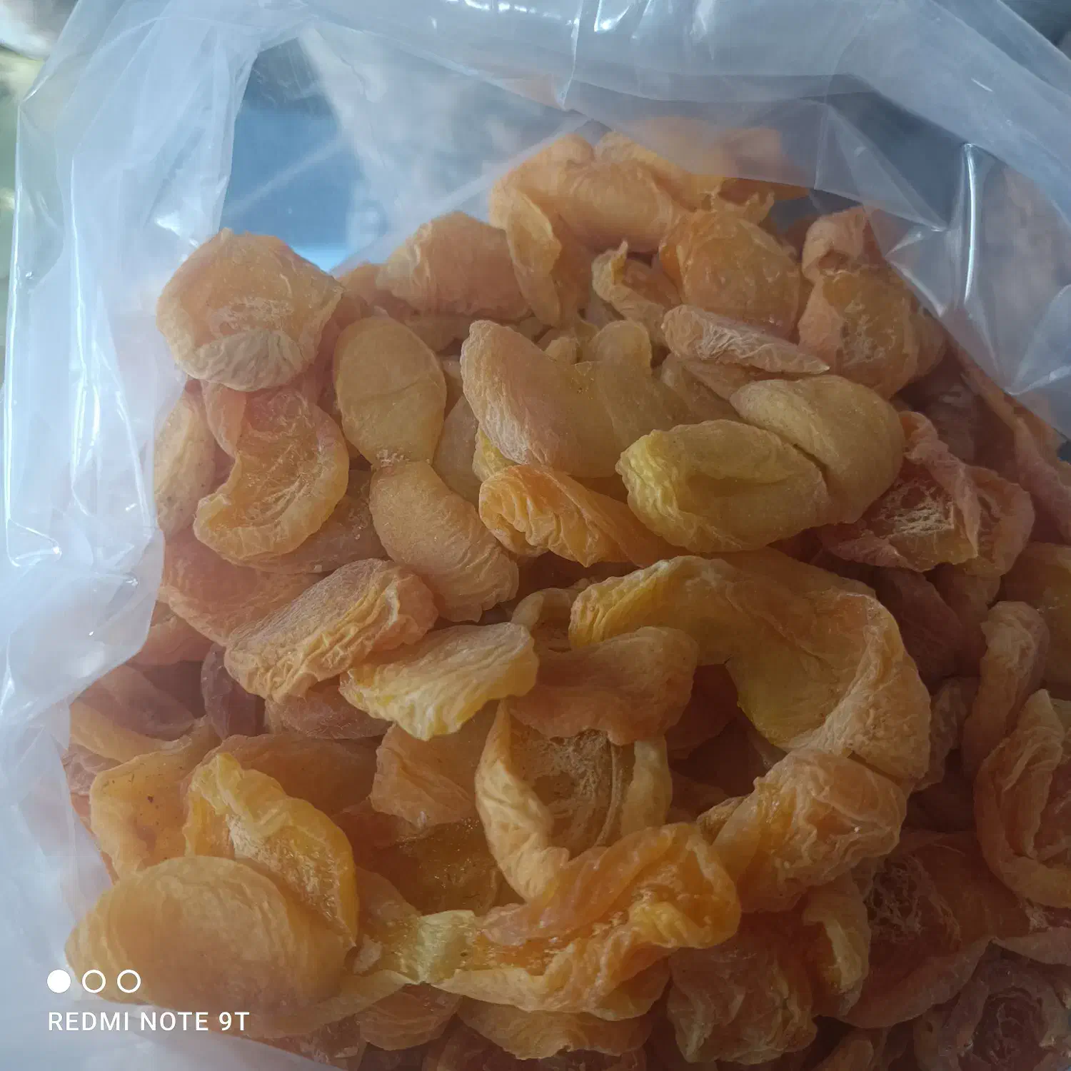 برگه زردآلو درجه یک ، خوشرنگ و درشت|خوردنی و آشامیدنی|صوفیان, |دیوار