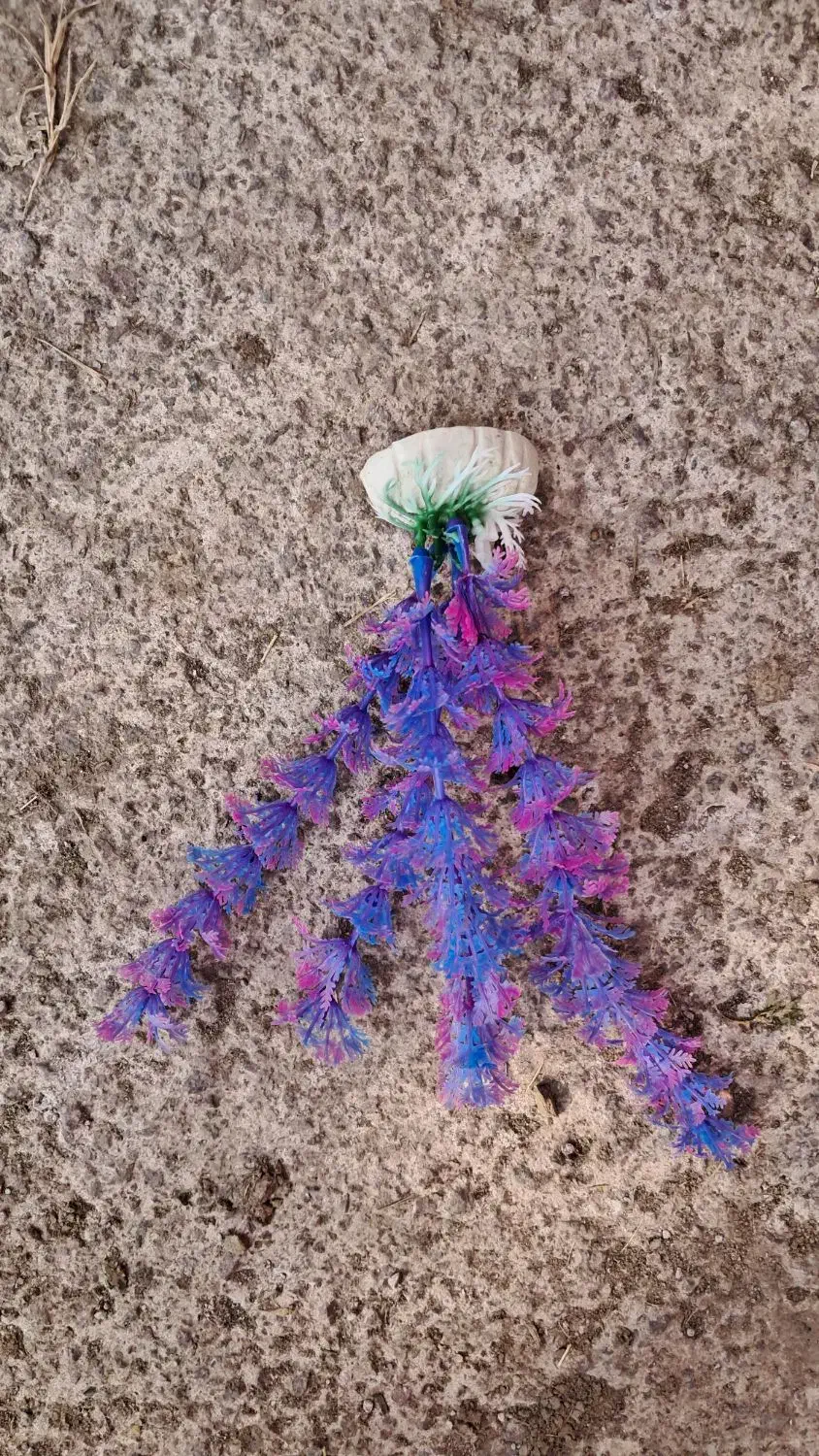 اکواریوم ماهی ۷۲ لیتری|ماهی|رودسر, |دیوار