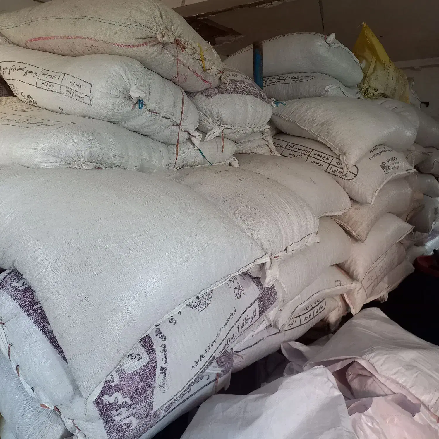 باقلا زود رس هیستال|عمده‌فروشی|گرگان, |دیوار