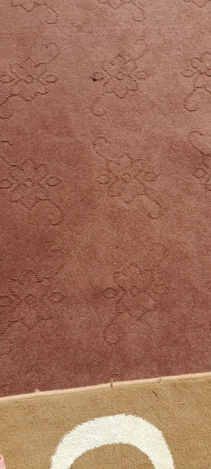 موکت نو نو|موکت|مسجد سلیمان, |دیوار