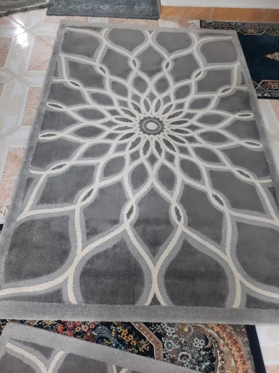 گلیم فرش درسایزهای مختلف|گلیم، جاجیم، گبه|قم, پردیسان|دیوار