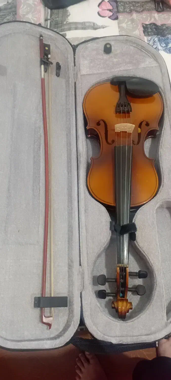 ویلون|ویولن|قوچان, |دیوار