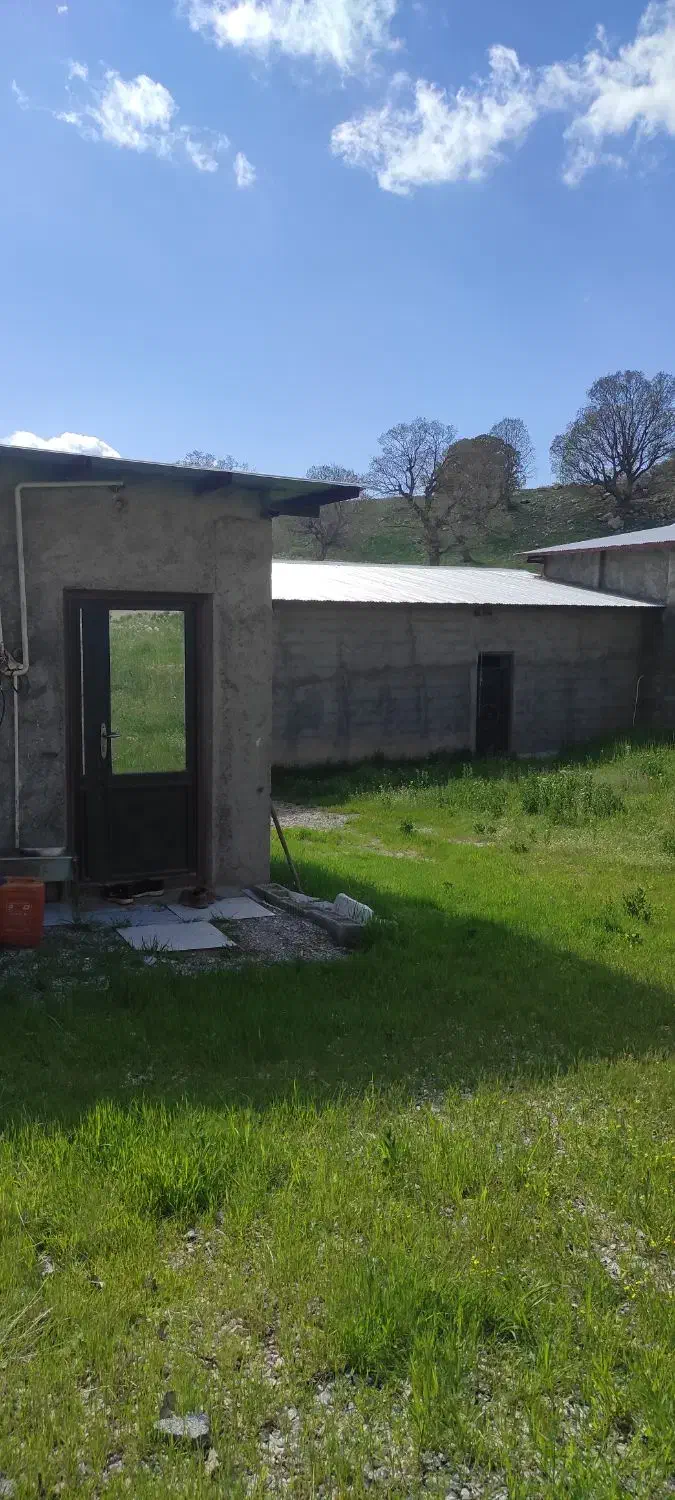 فروش واحد دامداری صنعتی ۵۰۰ راسی بره|فروش دفتر صنعتی، کشاورزی، تجاری|چوار, |دیوار