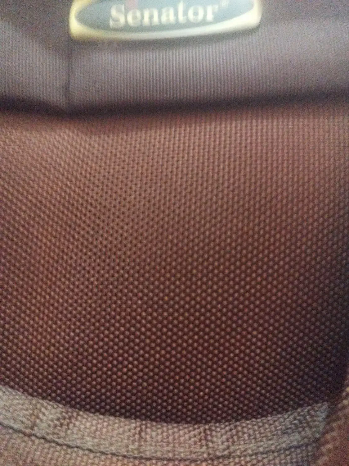 چمدان سناتور|کیف، کفش، کمربند|مشگین شهر, |دیوار