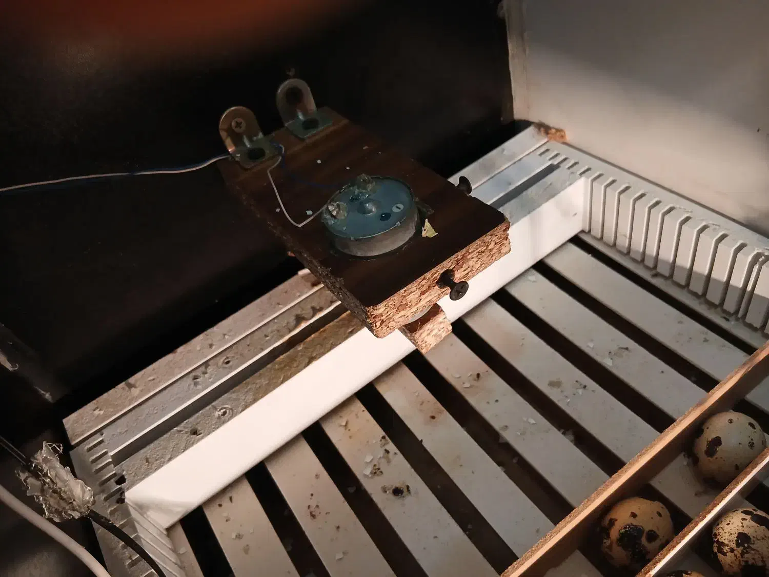 دستگاه جوجه کشی ۳۵ تایی تمام اتومات|لوازم جانبی حیوانات|قم, کلهری|دیوار