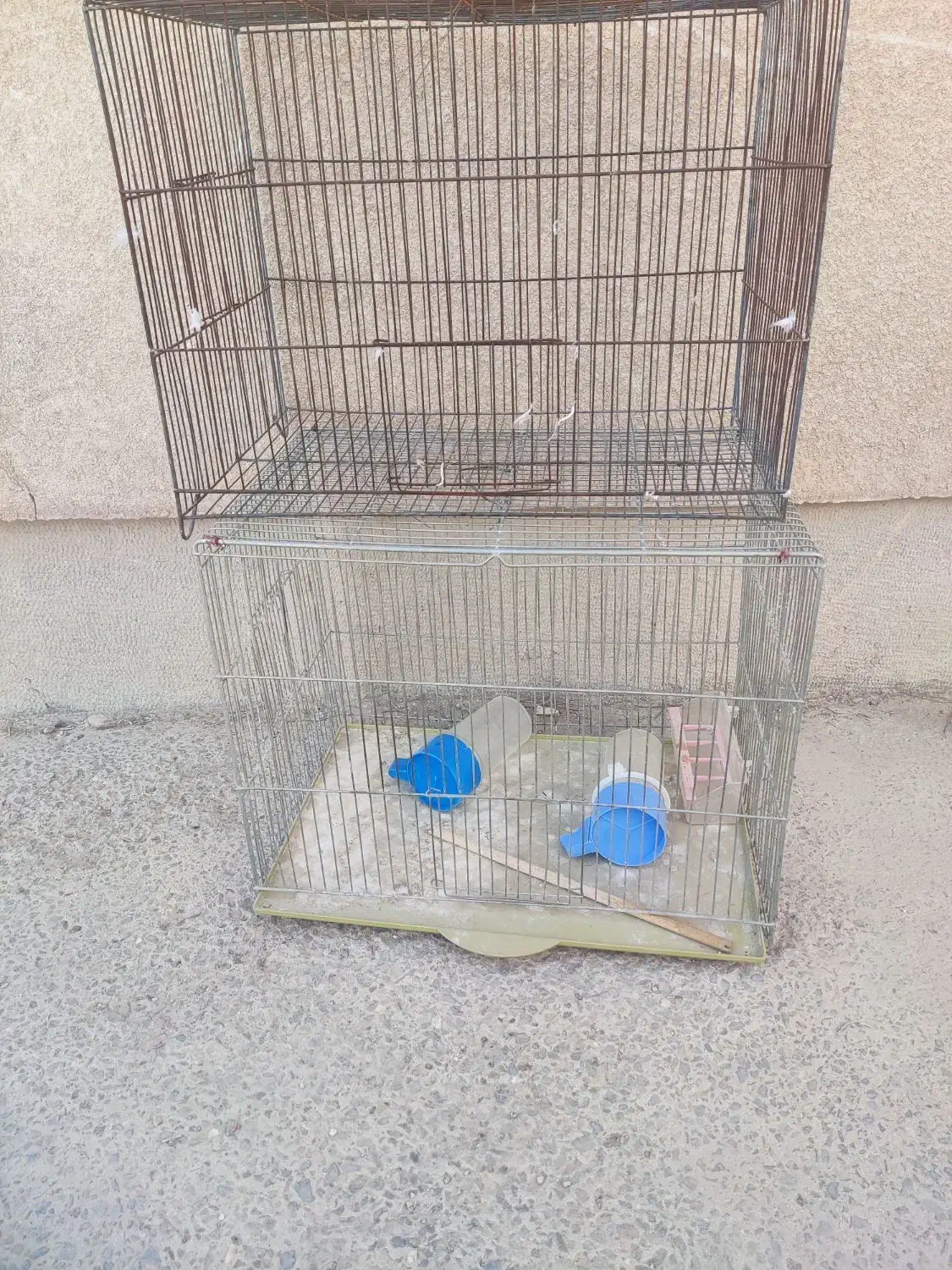 قفس جای قناری|لوازم جانبی حیوانات|شاهین‌شهر, شهرک ردانی پور|دیوار