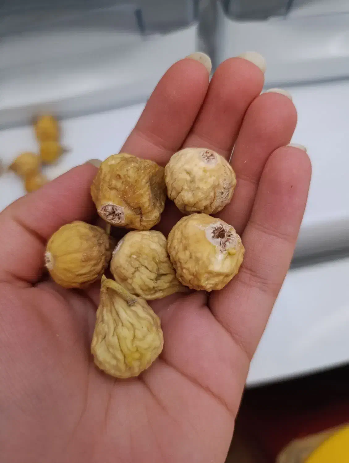 انجیر استهبان تازه با کیفیت|خوردنی و آشامیدنی|شیراز, شهرک رضوان|دیوار