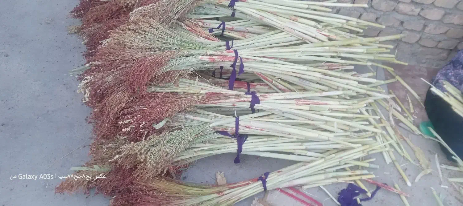 جارو ذراتی|لوازم نظافت|الشتر, |دیوار