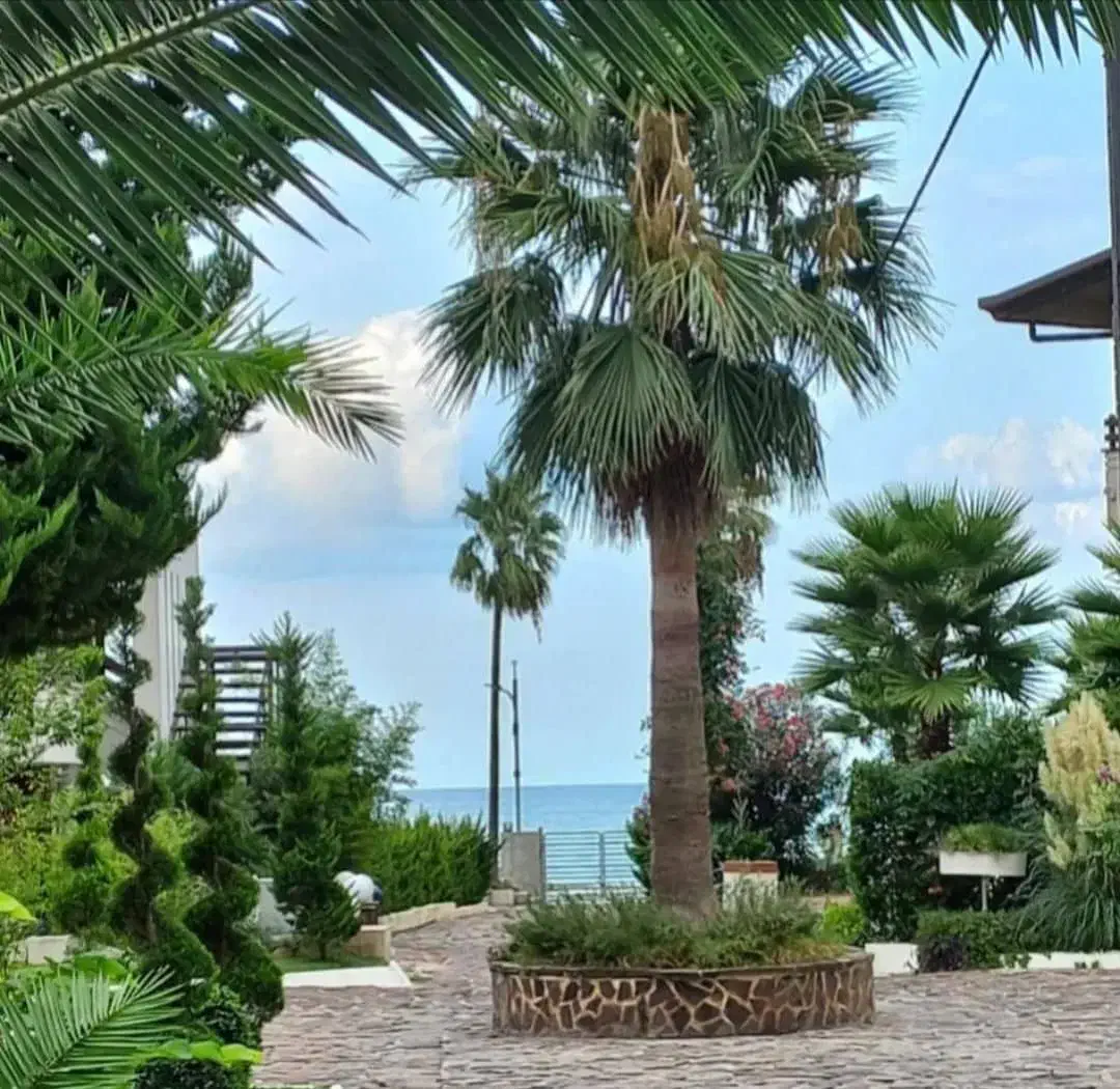 ویلا ساحلی  دریا بیشه تهاتر  با تهران کرج|فروش خانه و ویلا|رویان, |دیوار