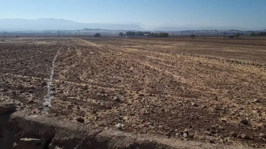 زمین صنعتی کشاورزی|فروش زمین و ملک کلنگی|خرم‌آباد, |دیوار