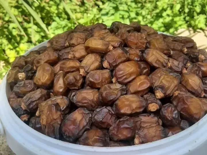 خرمای درجه یک با قیمت استثنایی|خوردنی و آشامیدنی|تهران, اختیاریه|دیوار