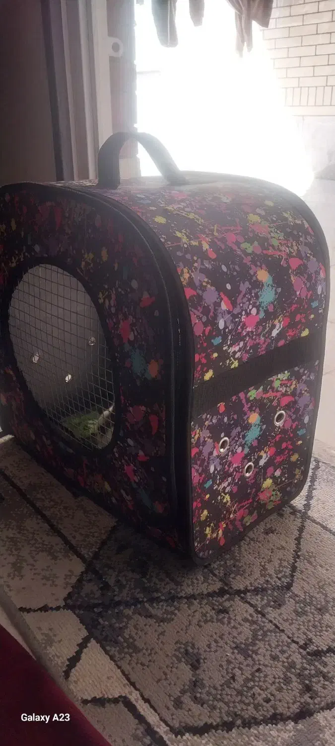 خرگوش همراه با ساک حمل|موش و خرگوش|شیراز, پانصد دستگاه ارتش|دیوار