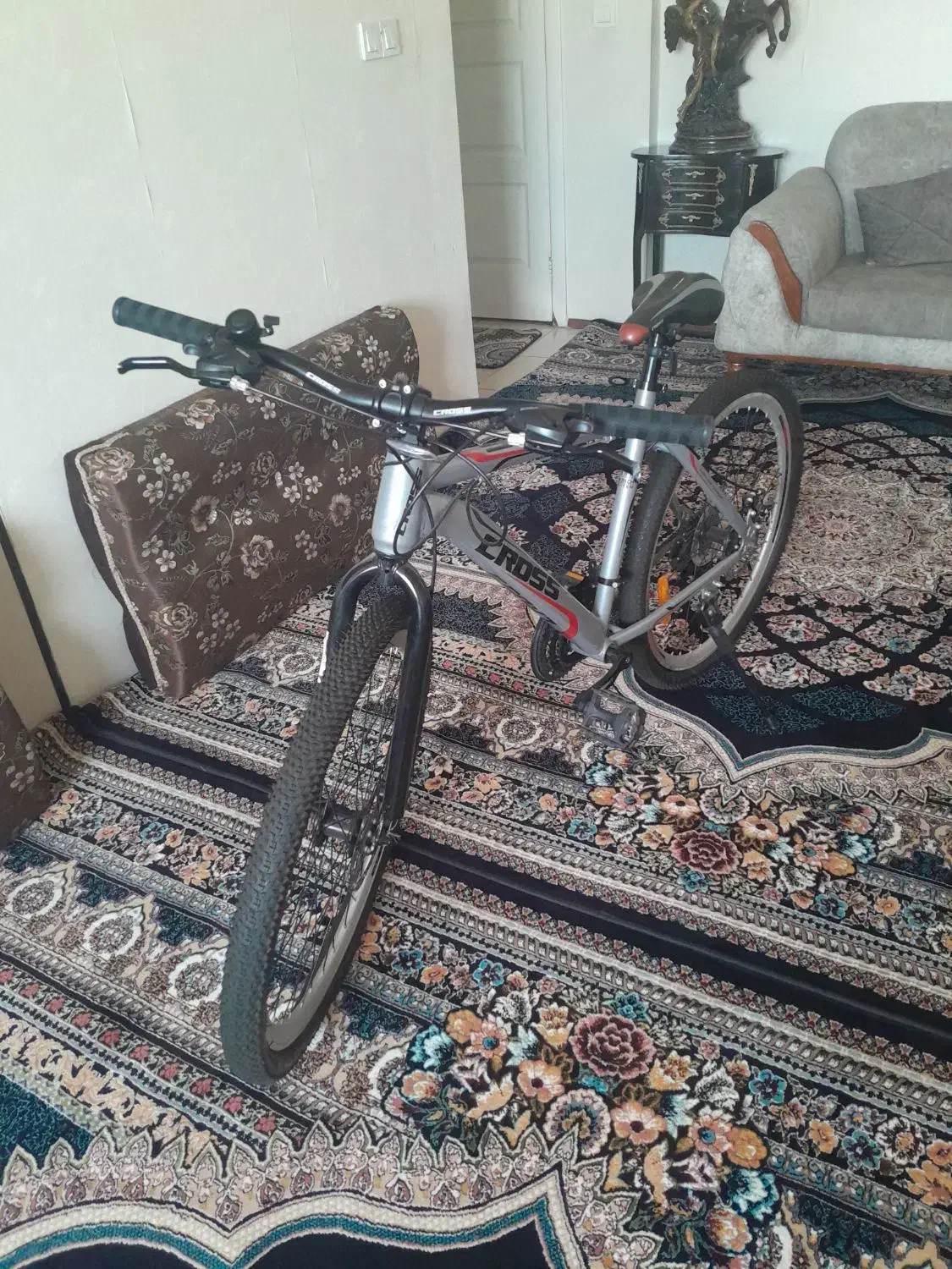 فروش دوچرخه سایز ۲۶|دوچرخه، اسکیت، اسکوتر|ری, دولت‌آباد|دیوار