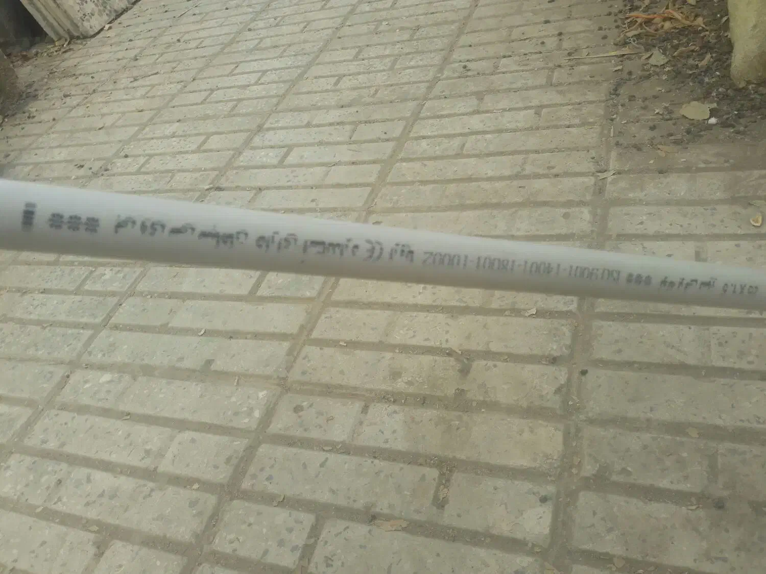 پرژکتور|تلویزیون و پروژکتور|شاهینشهر, دهخدا|دیوار