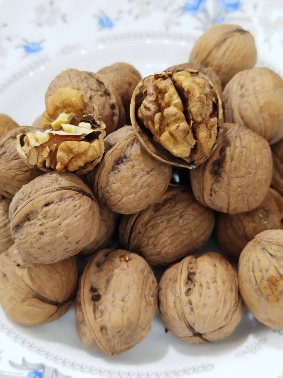 گردو|خوردنی و آشامیدنی|فردوسیه, |دیوار